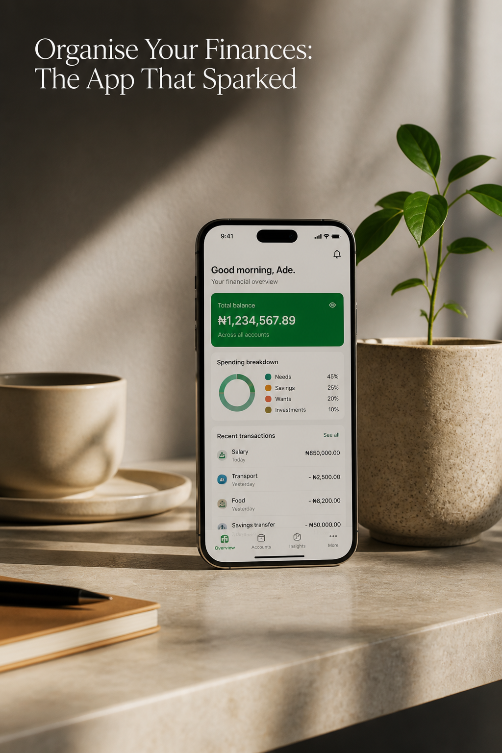 Organise Your Finances: The App That Sparked